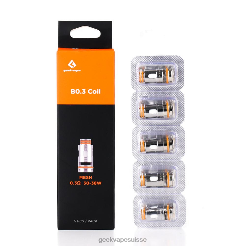 b0,3 ohm
