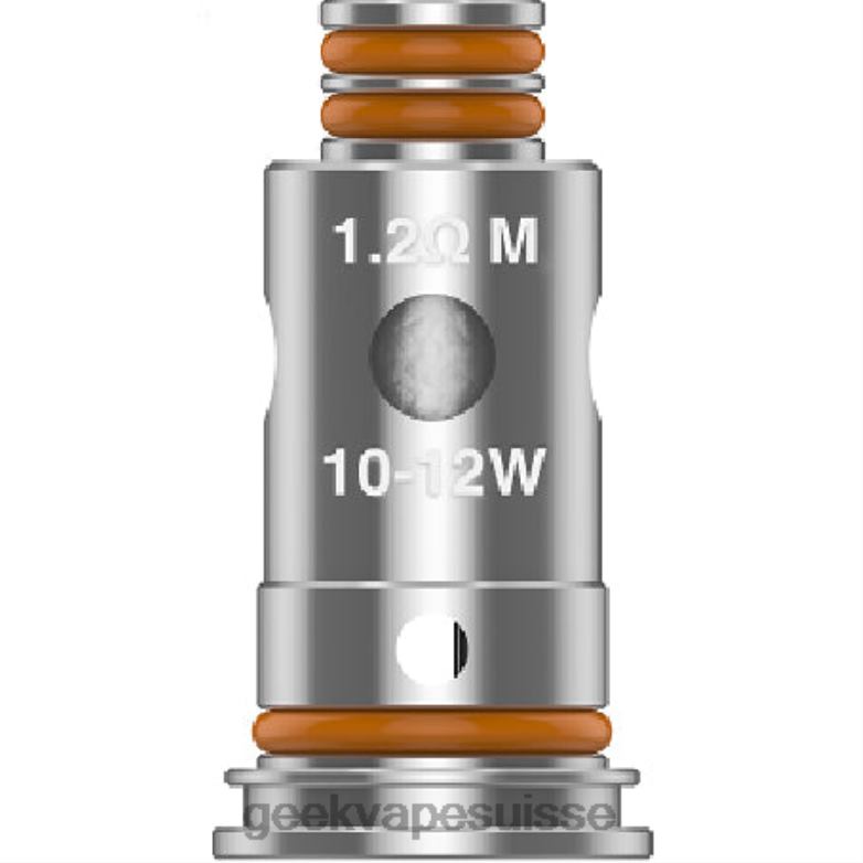 GeekVape Bobine série G 5 pièces/paquet - Geek Vape Suisse DN44X24 g0,6 ohms